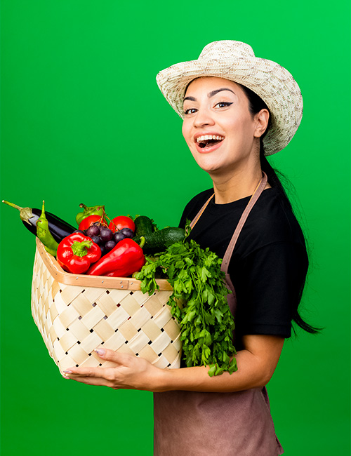 mulher-com-a-cesta-de-hortifruti-500x650