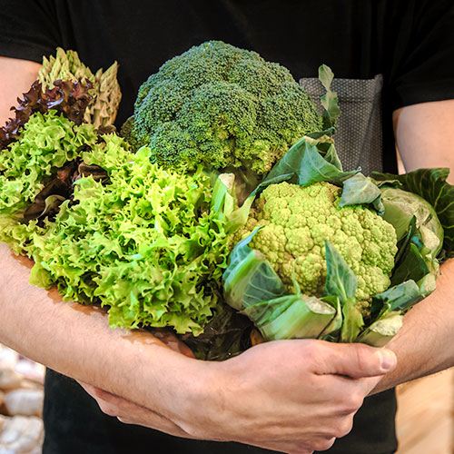 sustentabilidade-500x500